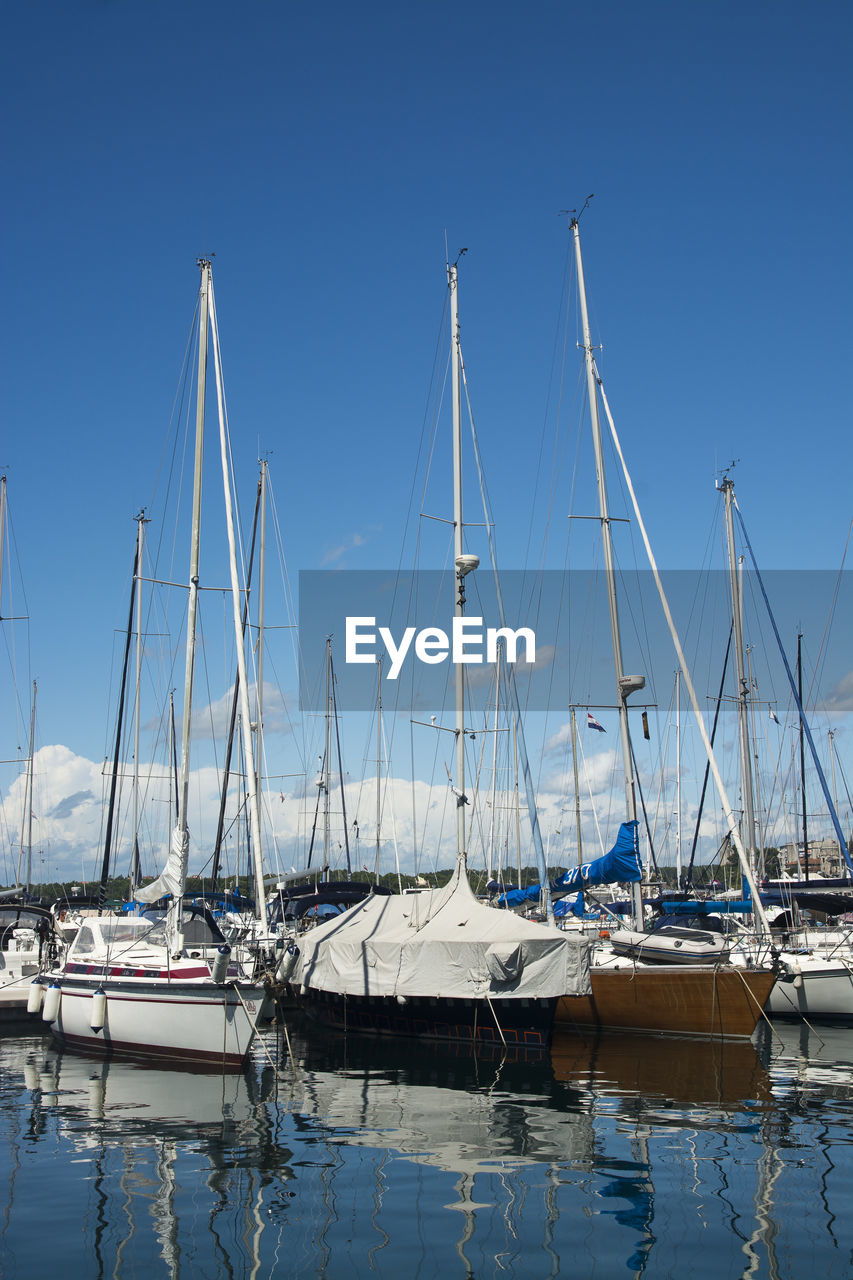 Sailboats moored in harbor