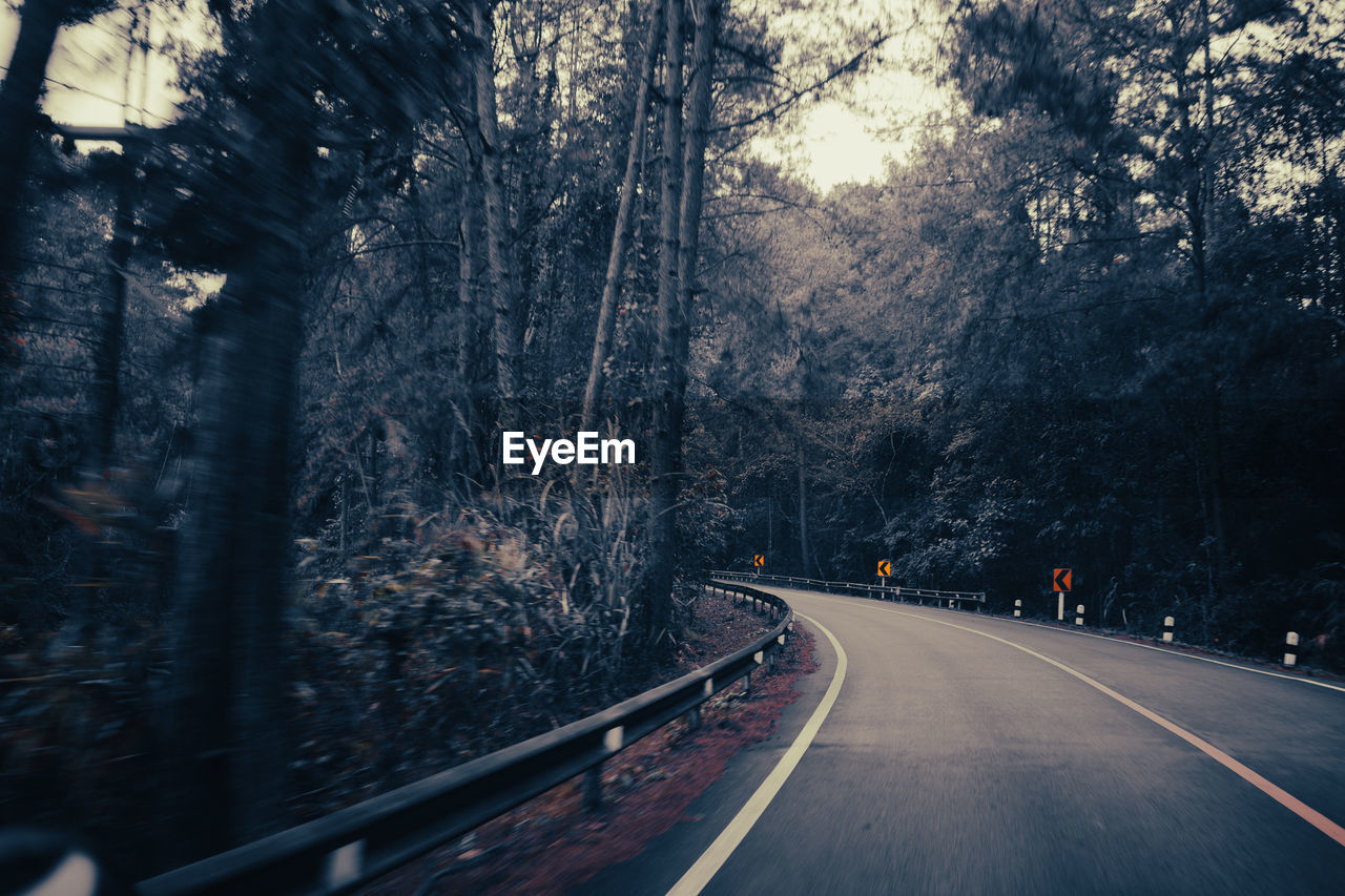 Road amidst trees in forest