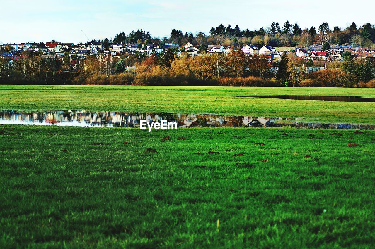 Scenic view of grass area and houses in town