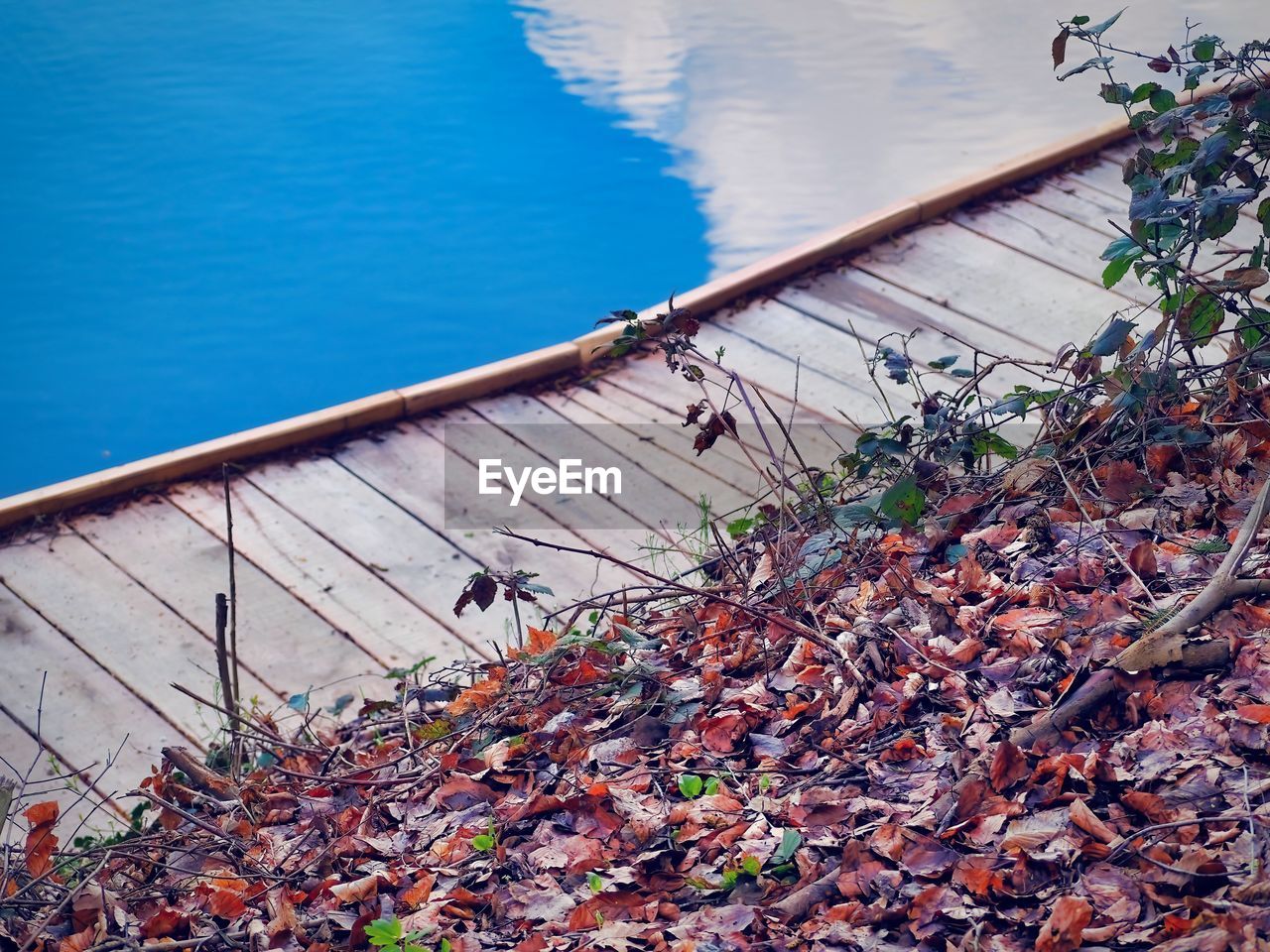 water, nature, day, no people, high angle view, plant, outdoors, architecture, reflection, leaf, lake, wood, built structure, flower, plant part, beauty in nature, tranquility, sunlight, sky, land