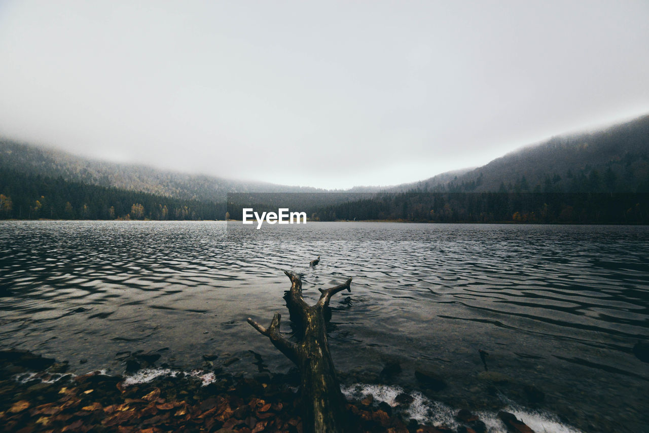 Fallen tree at lakeshore by mountains against sky during foggy weather