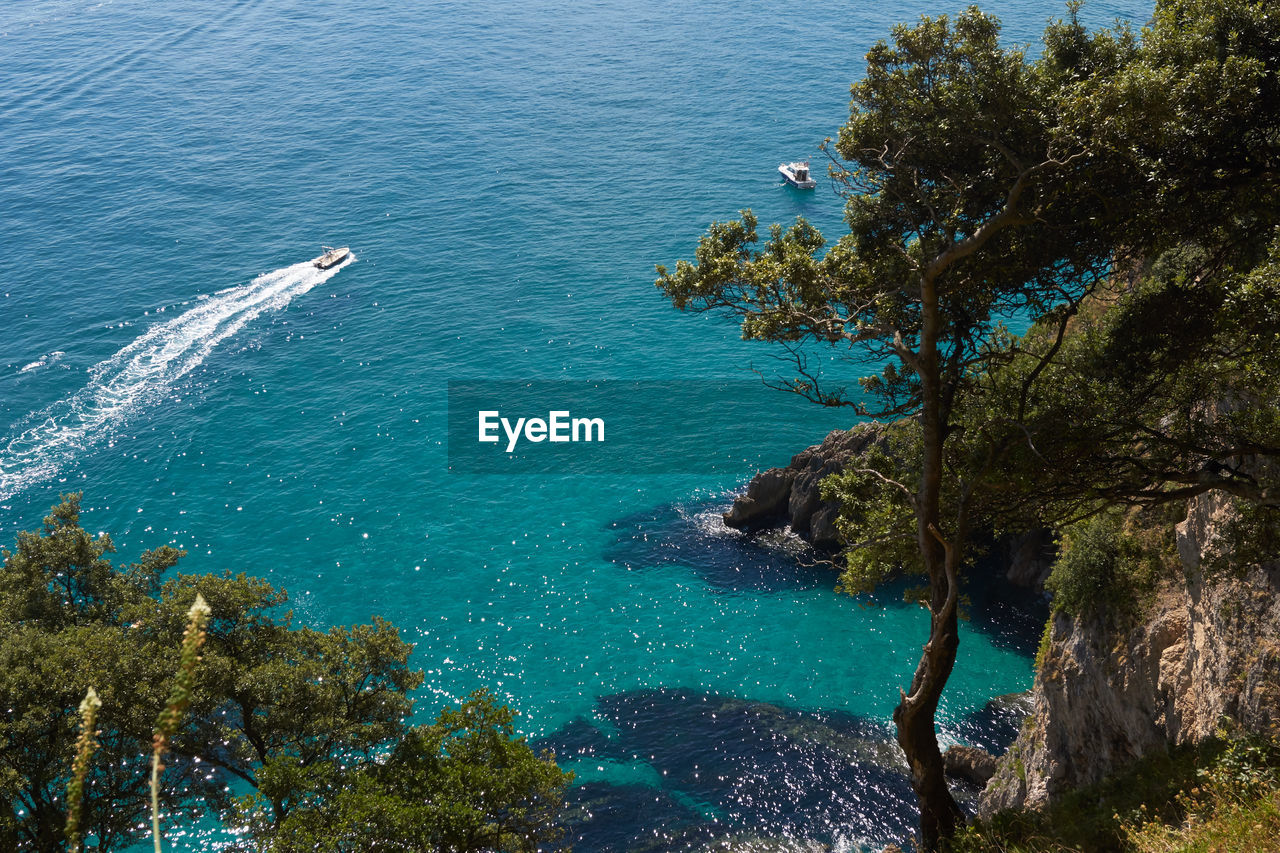 High angle view of sea and trees