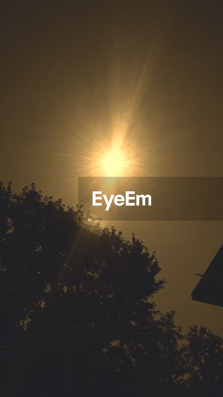 LOW ANGLE VIEW OF SILHOUETTE TREES AGAINST SKY