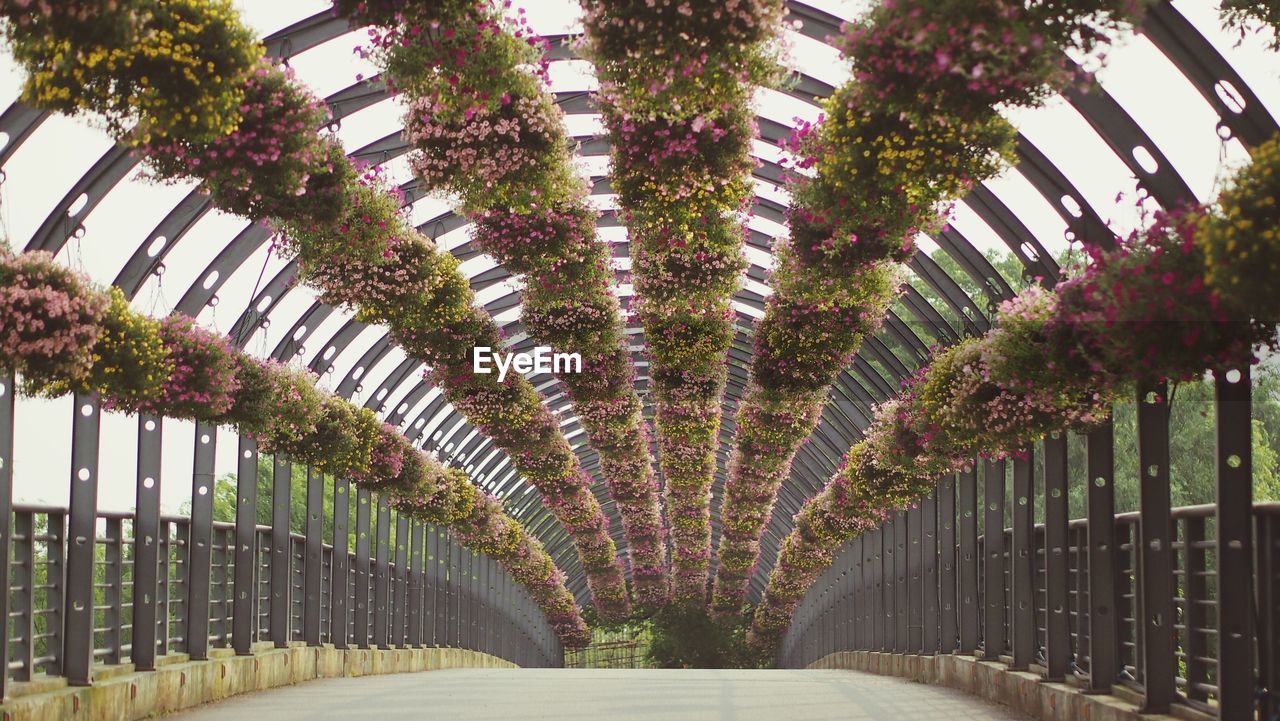 Empty road along railings and bouquets