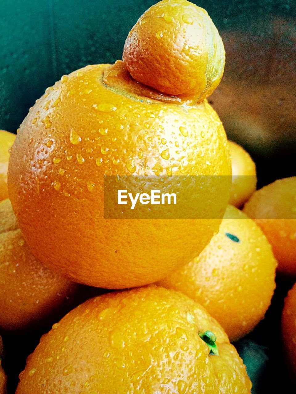 Close-up of oranges