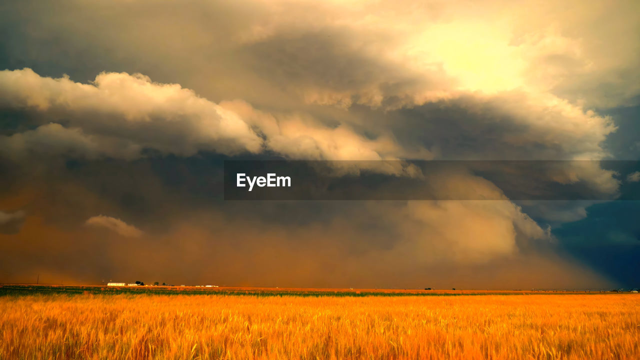 sky, landscape, cloud, environment, field, land, beauty in nature, rural scene, plant, agriculture, horizon, nature, crop, cereal plant, morning, scenics - nature, storm, dramatic sky, prairie, no people, storm cloud, gold, horizon over land, plain, barley, sunlight, farm, thunderstorm, cloudscape, outdoors, yellow, tranquility, growth, summer, grass, tranquil scene, dawn, vibrant color, sun, tree, grassland, idyllic, orange color, urban skyline, sunbeam, back lit, non-urban scene, multi colored, food, sunrise, awe, atmospheric mood, day