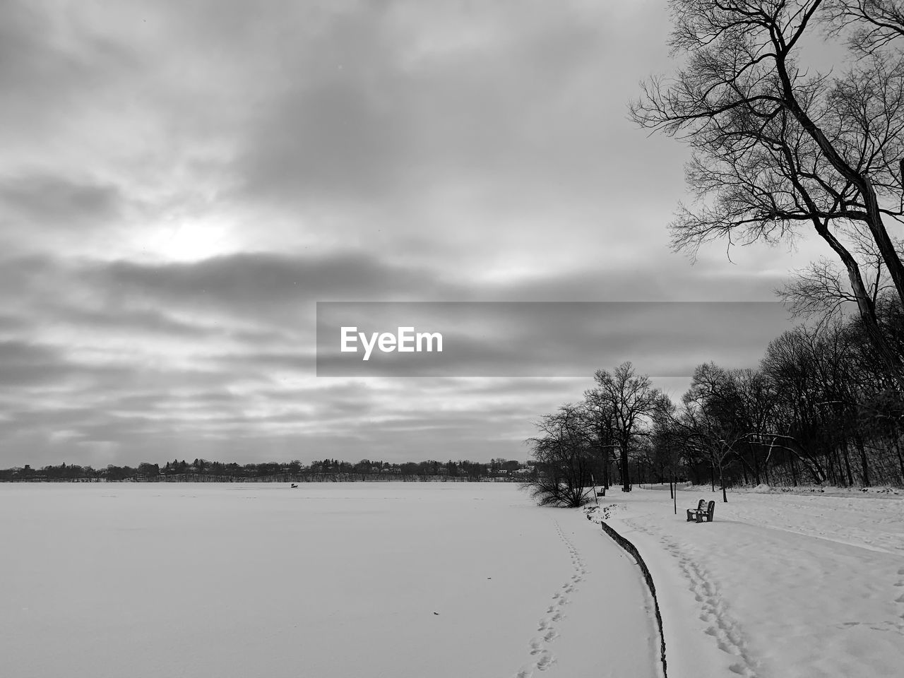 TREES ON SNOW COVERED LAND AGAINST SKY