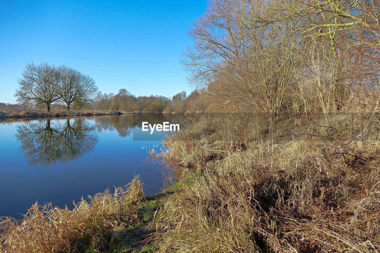 Reflection of trees in lake against clear blue sky