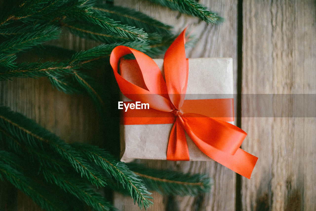 Directly above shot of christmas present by plants on wooden table