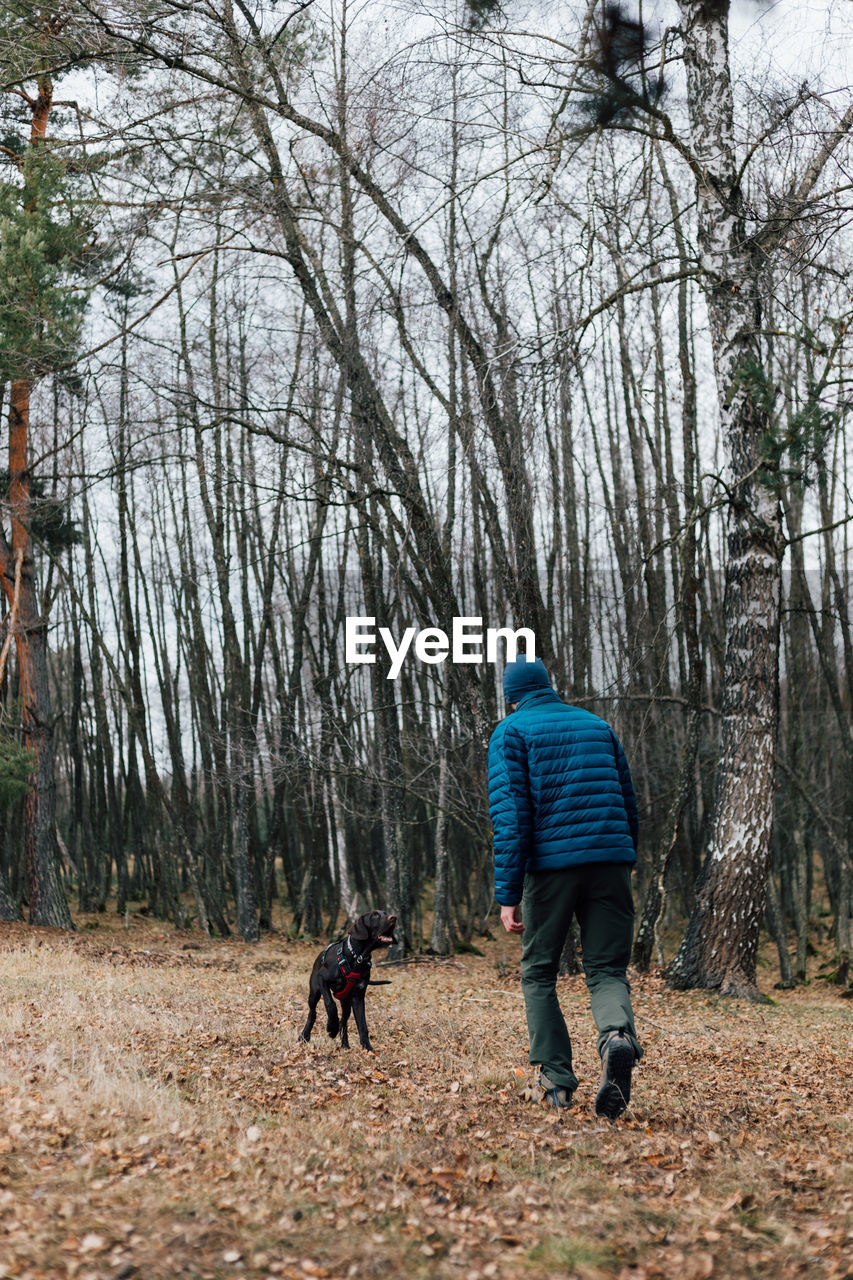 REAR VIEW OF MAN WITH DOG WALKING ON ROAD IN FOREST