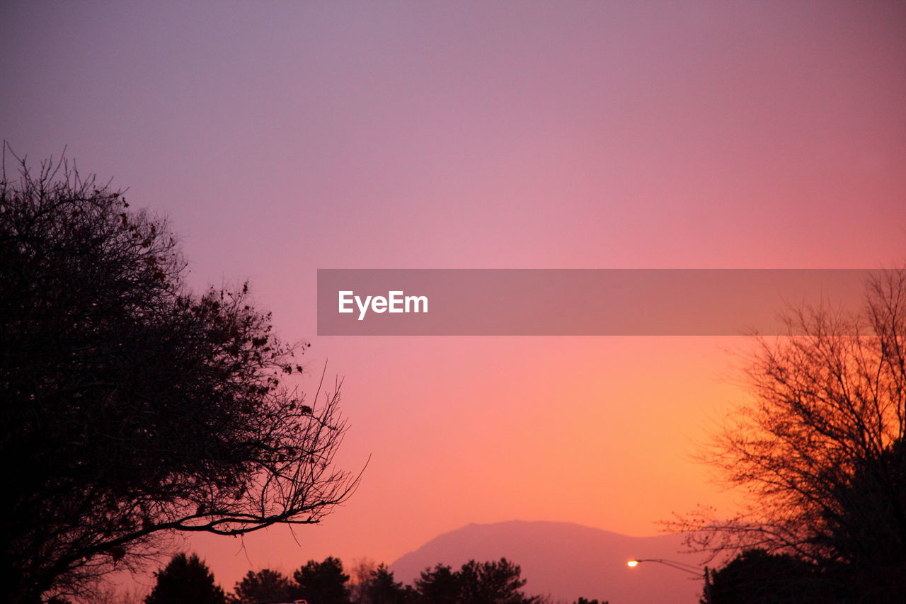 Low angle view of silhouette trees against clear sky