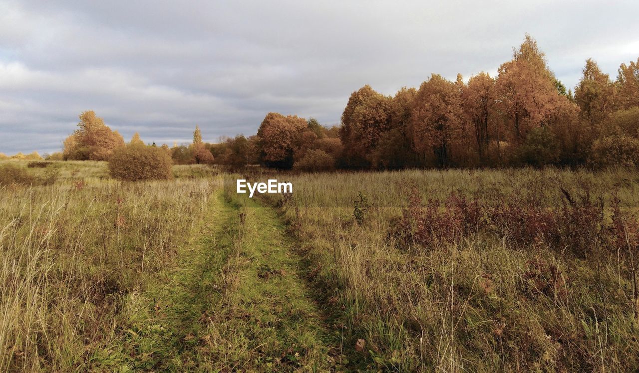 Scenic view of land against sky