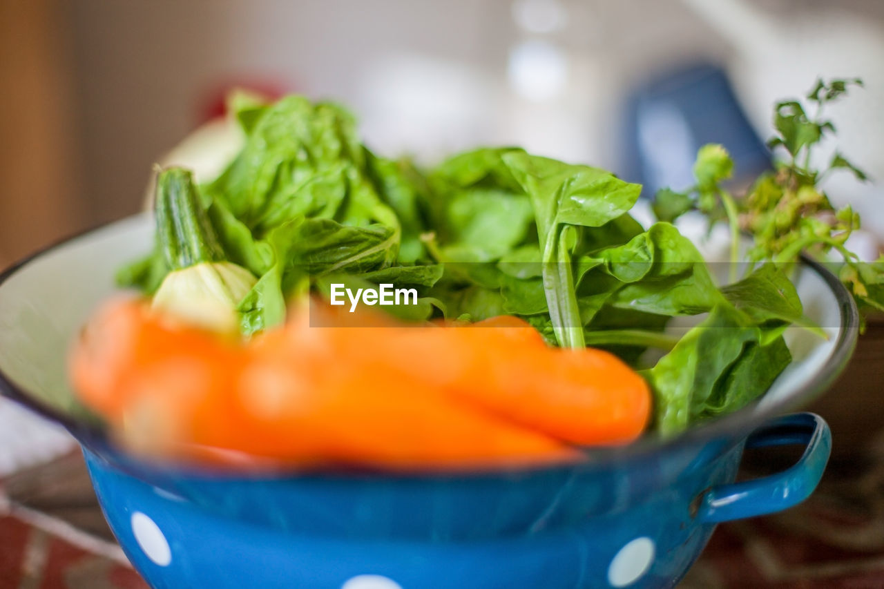 Close-up of vegetables in bowl