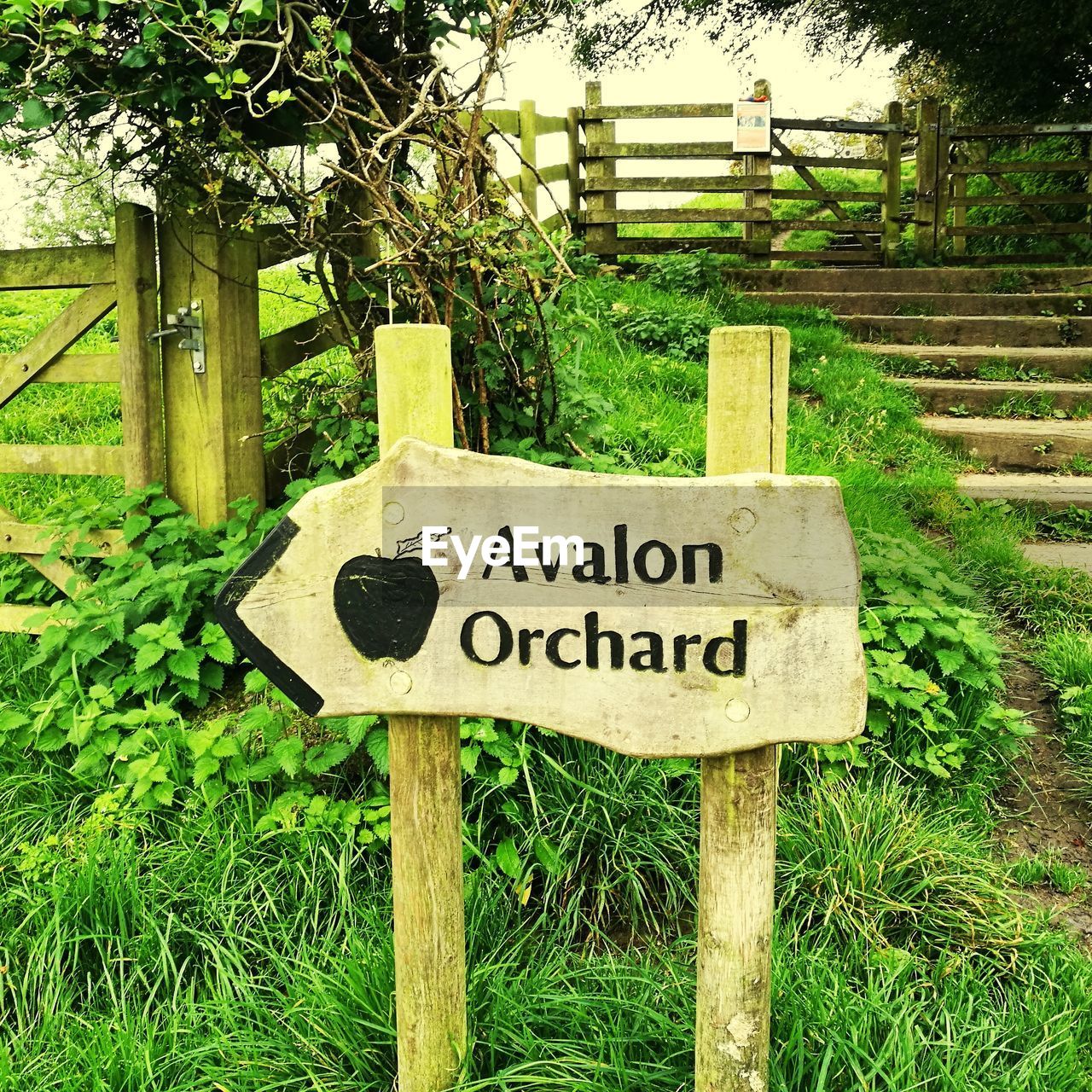 CLOSE-UP OF SIGNBOARD ON GRASS