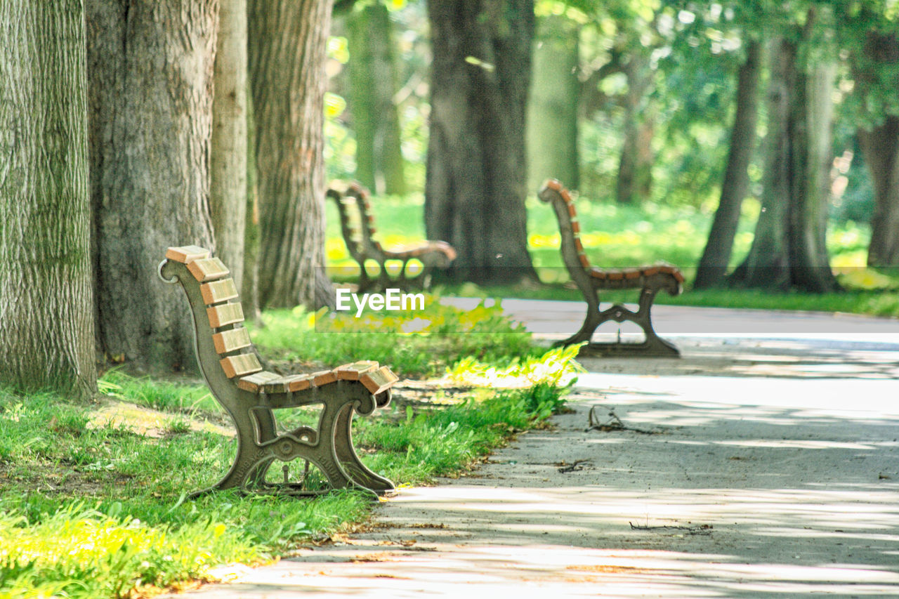 BENCH IN PARK