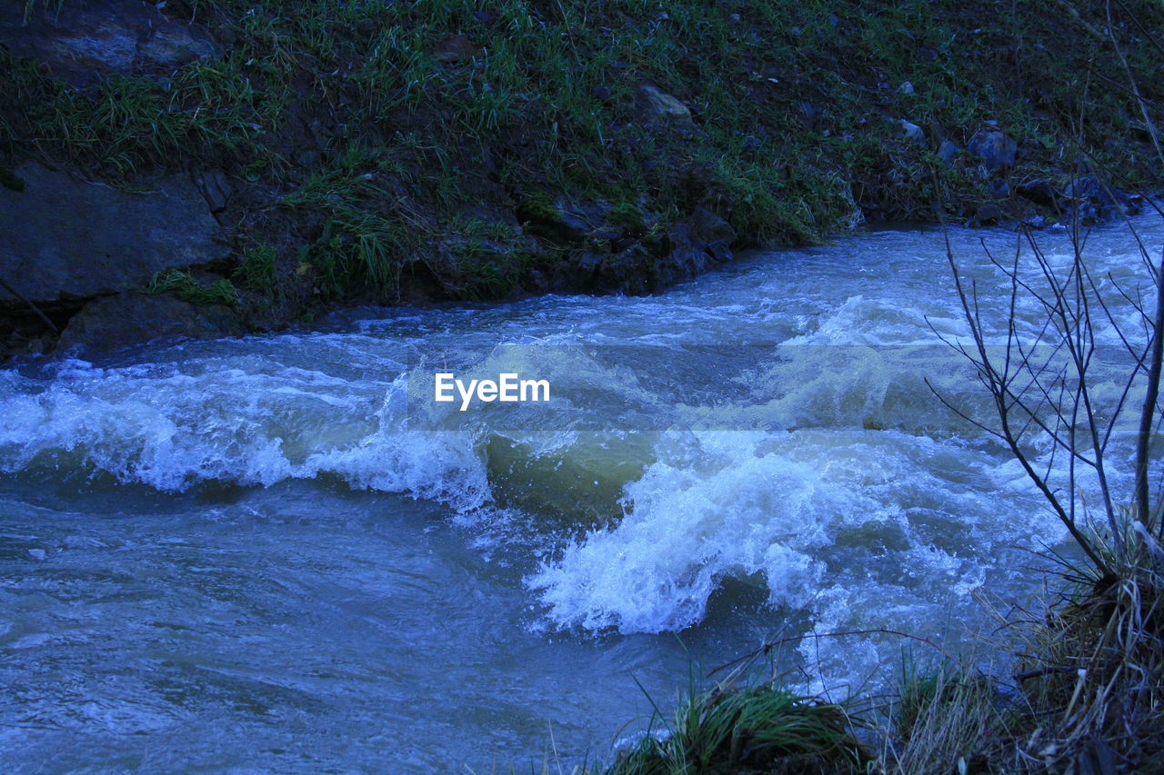 VIEW OF RIVER FLOWING IN FOREST