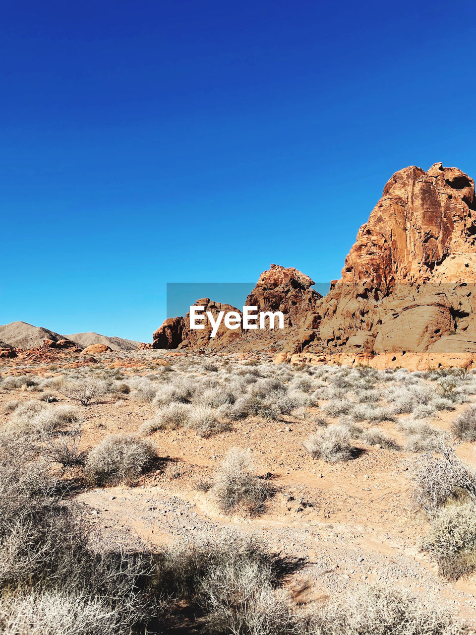 sky, rock, landscape, scenics - nature, environment, nature, natural environment, clear sky, rock formation, beauty in nature, desert, blue, mountain, wilderness, land, valley, no people, wadi, semi-arid, non-urban scene, climate, tranquility, travel destinations, geology, plateau, sunny, travel, arid climate, tranquil scene, sunlight, outdoors, day, extreme terrain, plant, physical geography, remote, copy space, terrain