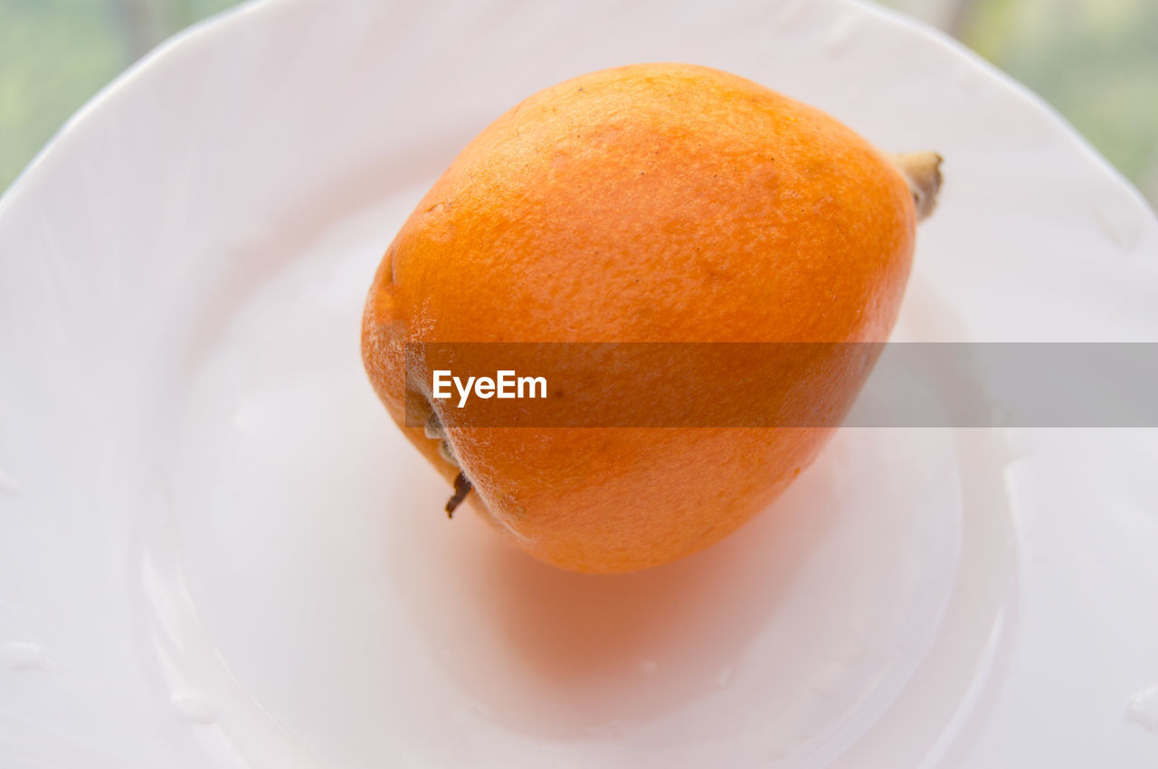 food and drink, food, plant, fruit, plate, clementine, produce, freshness, citrus, healthy eating, close-up, no people, sweet food, orange color, wellbeing, dish, dessert, citrus fruit, focus on foreground, sweet, orange