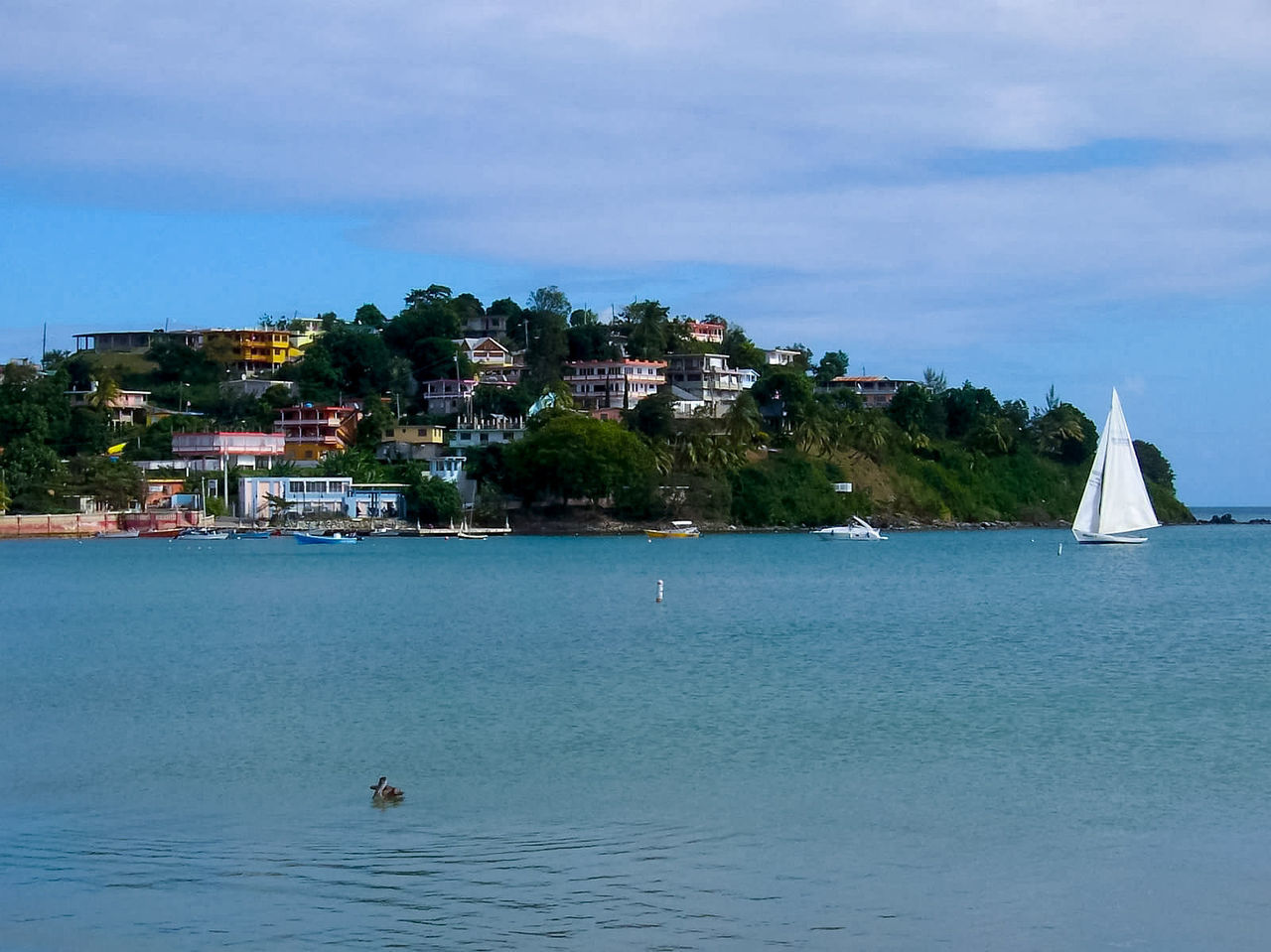 SAILBOAT ON SEA AGAINST SKY