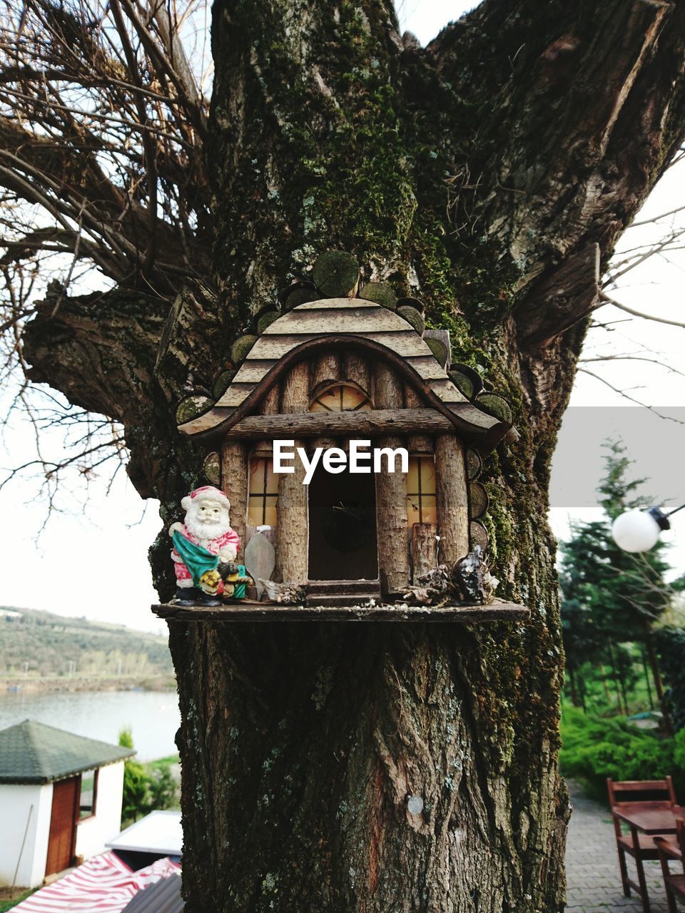 Birdhouse on tree