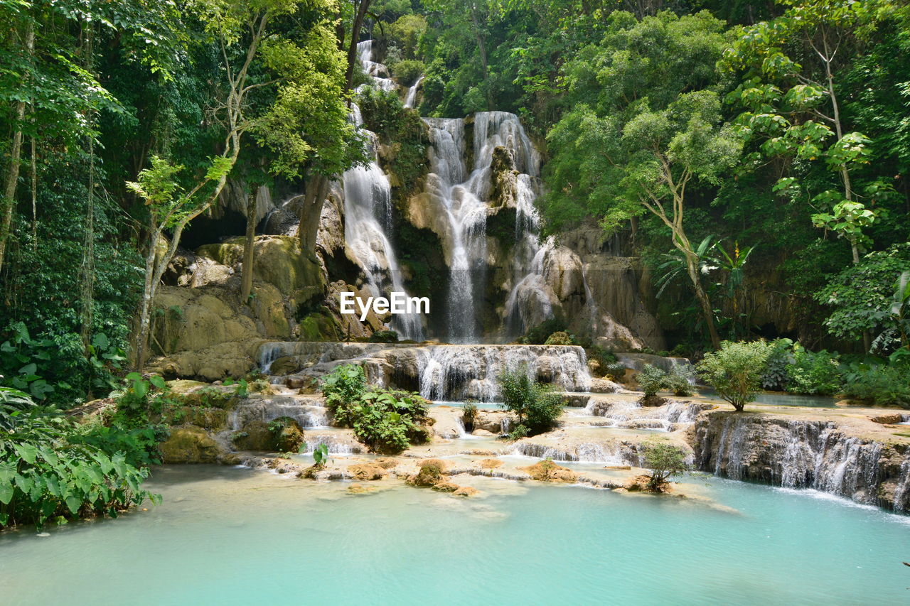 Scenic view of waterfall in forest