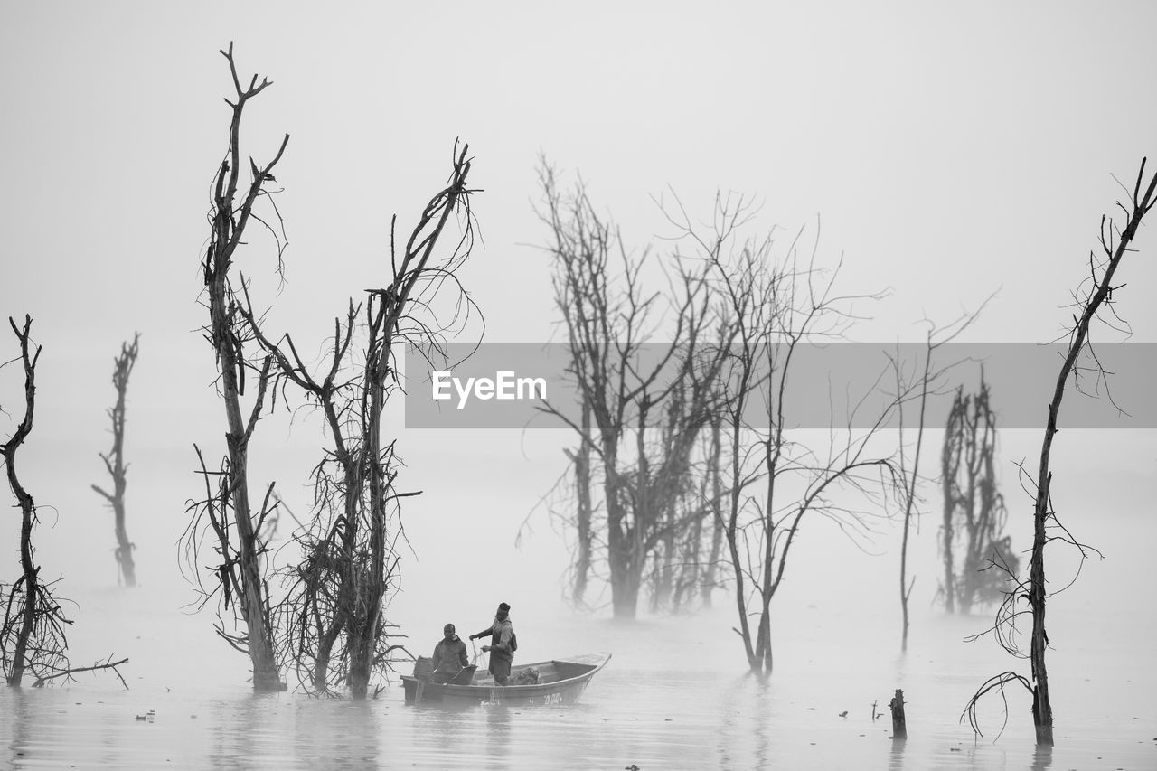 PEOPLE BY BARE TREE AGAINST SKY