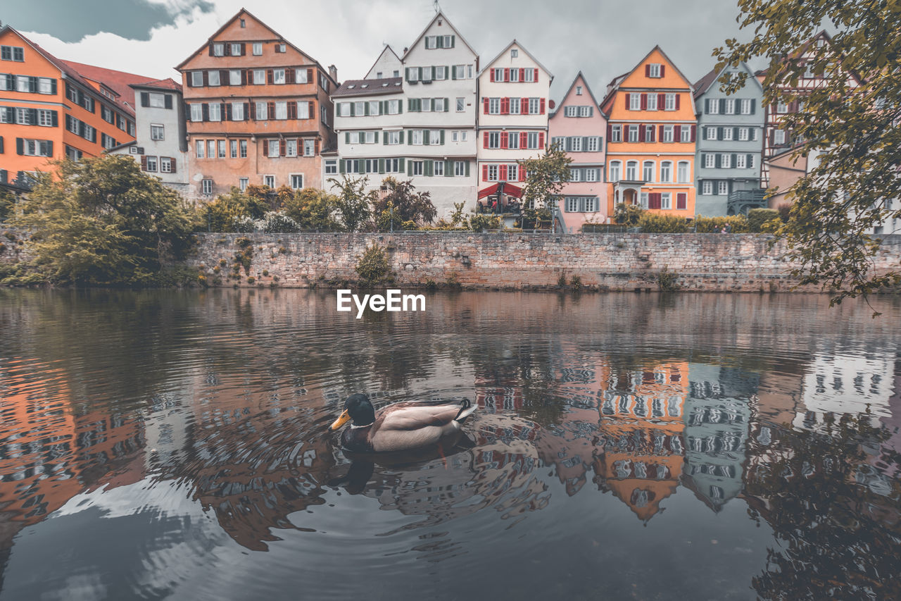 REFLECTION OF BUILDINGS ON LAKE