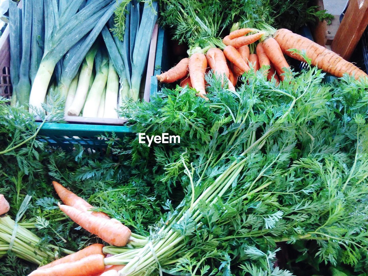 CLOSE-UP OF HAND HOLDING VEGETABLES AT MARKET