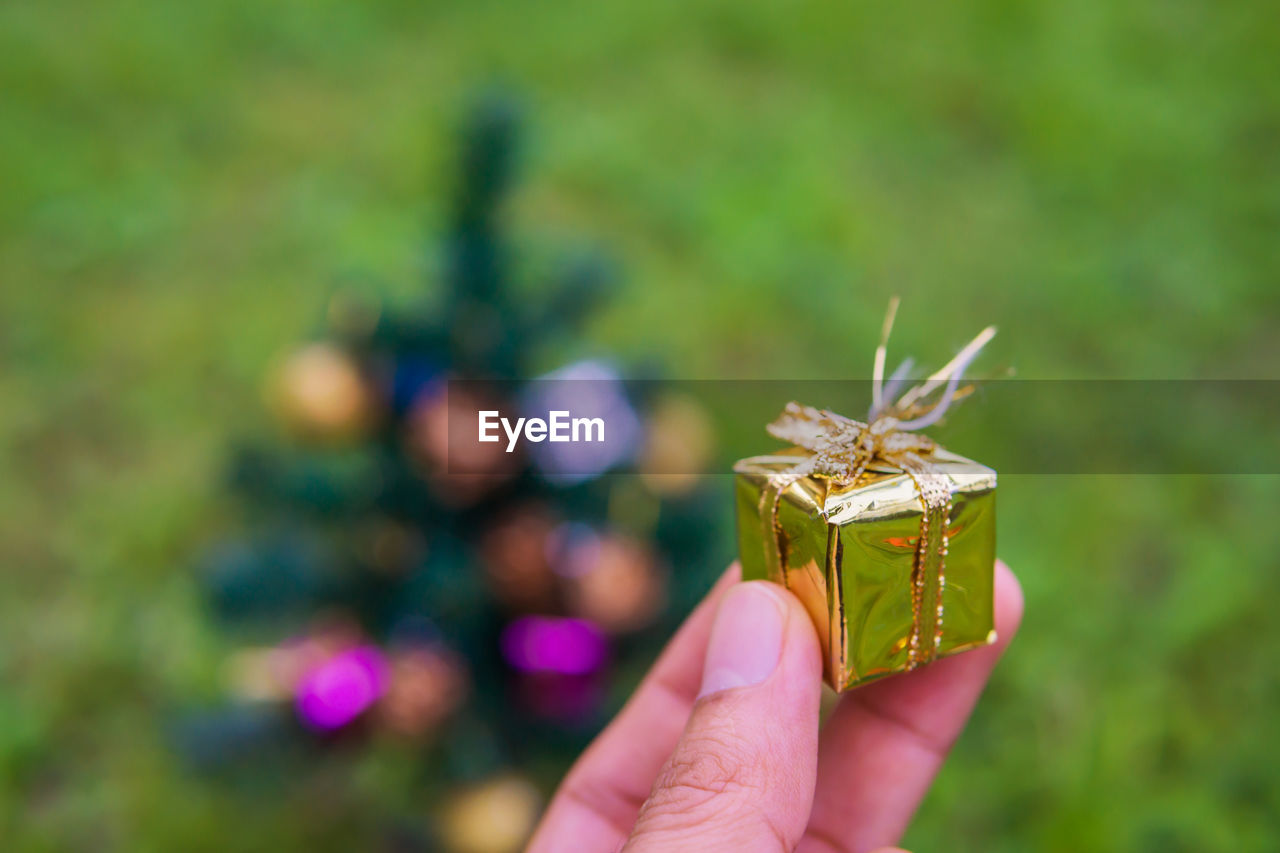 Cropped hand of person holding gift box