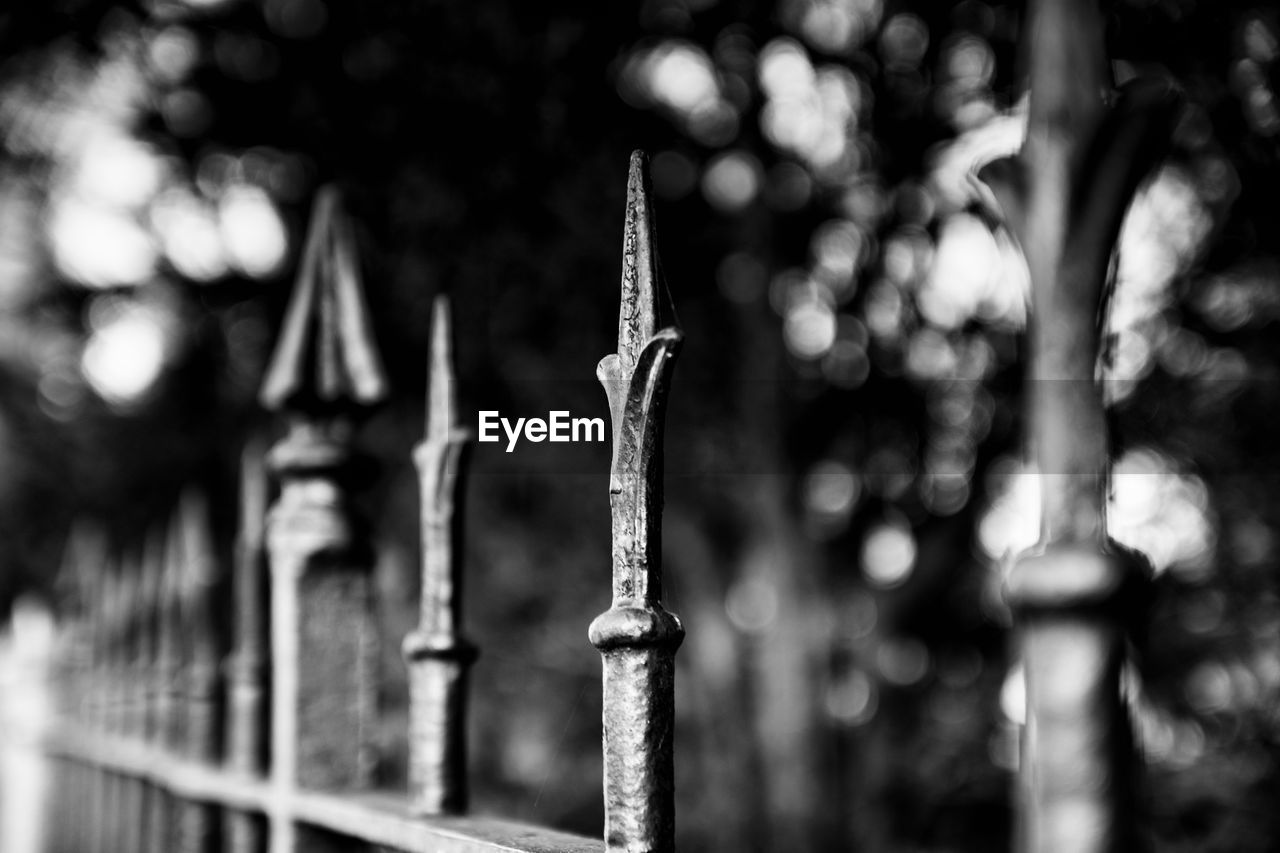 CLOSE-UP OF BARBED WIRE IN GARDEN