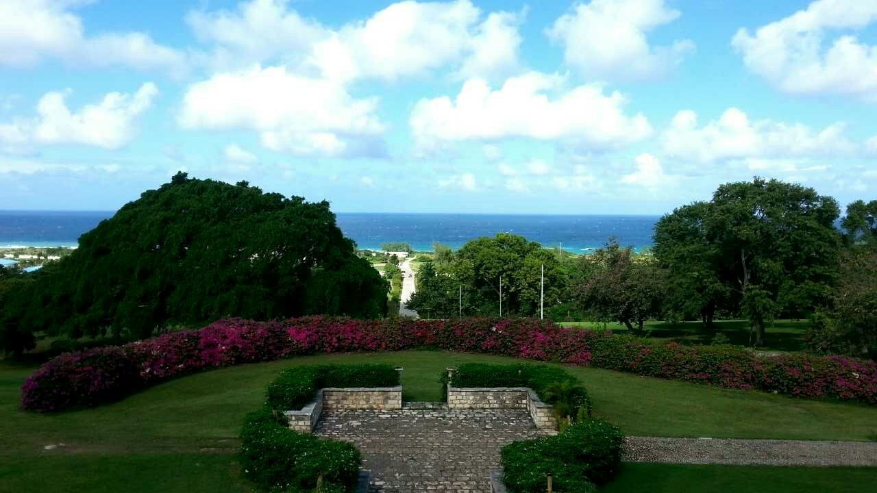 High angle view of garden at seaside