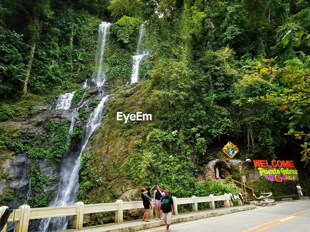 PANORAMIC SHOT OF WATERFALL IN FOREST