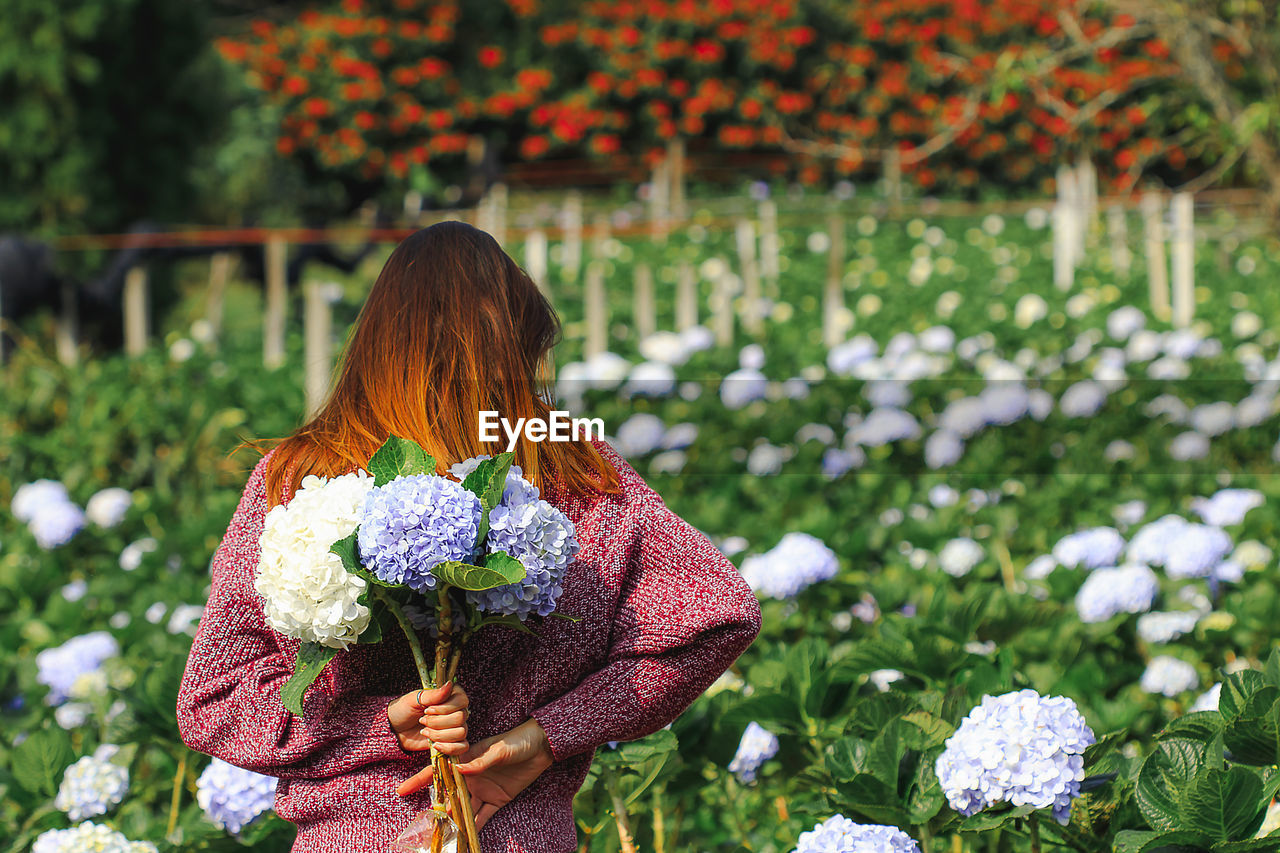 REAR VIEW OF WOMAN STANDING BY FLOWERING PLANT