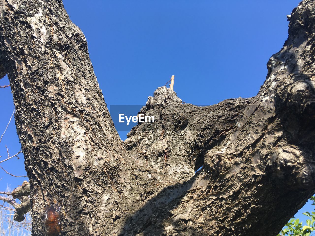 LOW ANGLE VIEW OF ROCK FORMATIONS AGAINST CLEAR BLUE SKY