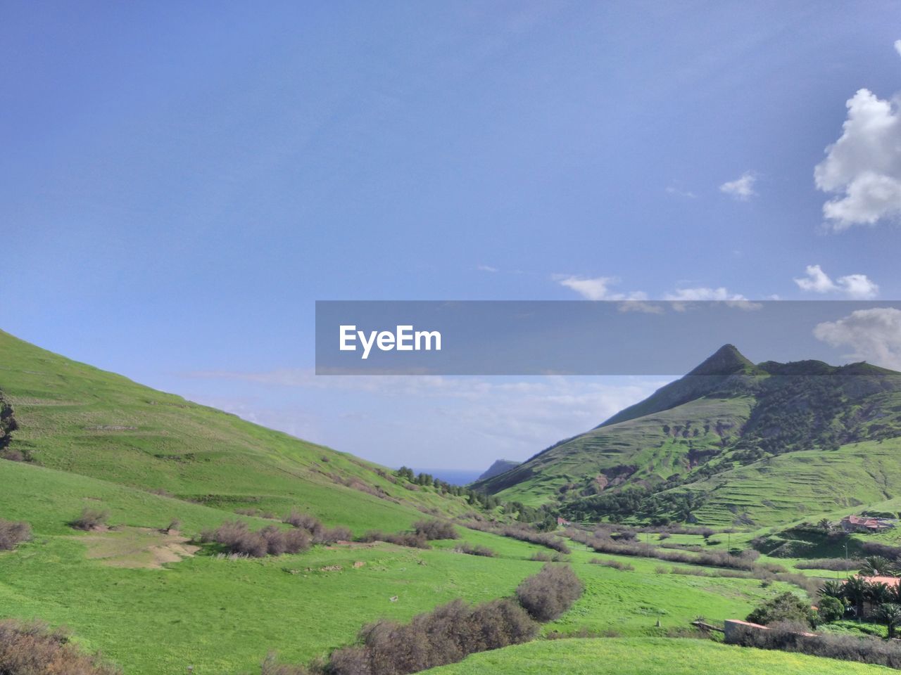 Scenic view of agricultural field against blue sky