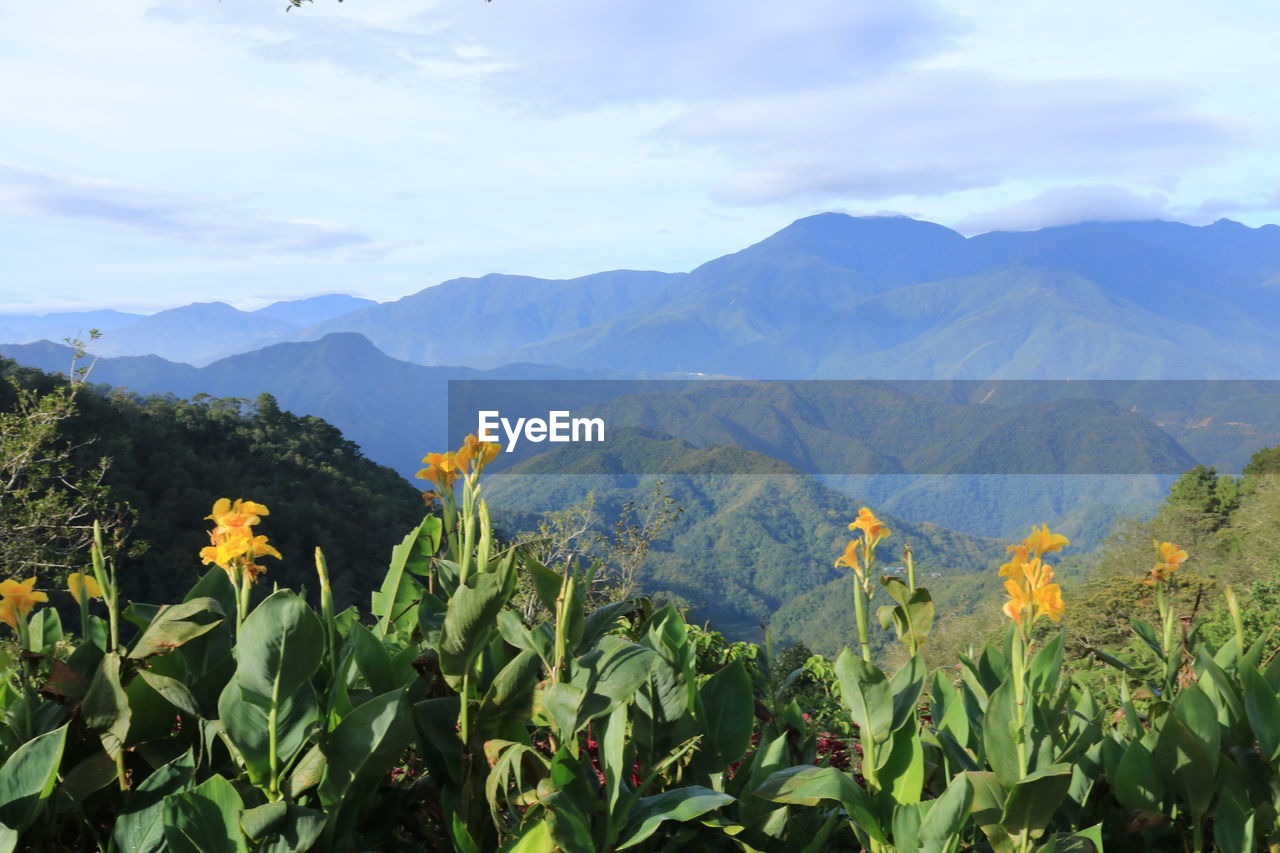 Scenic view of mountains against sky