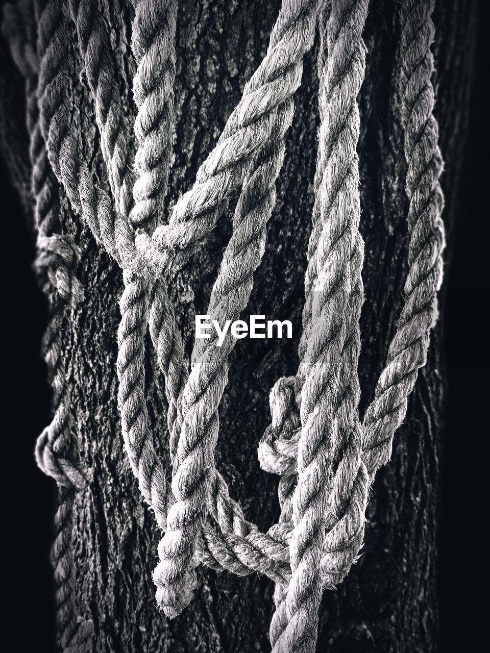 Close-up of ropes at night