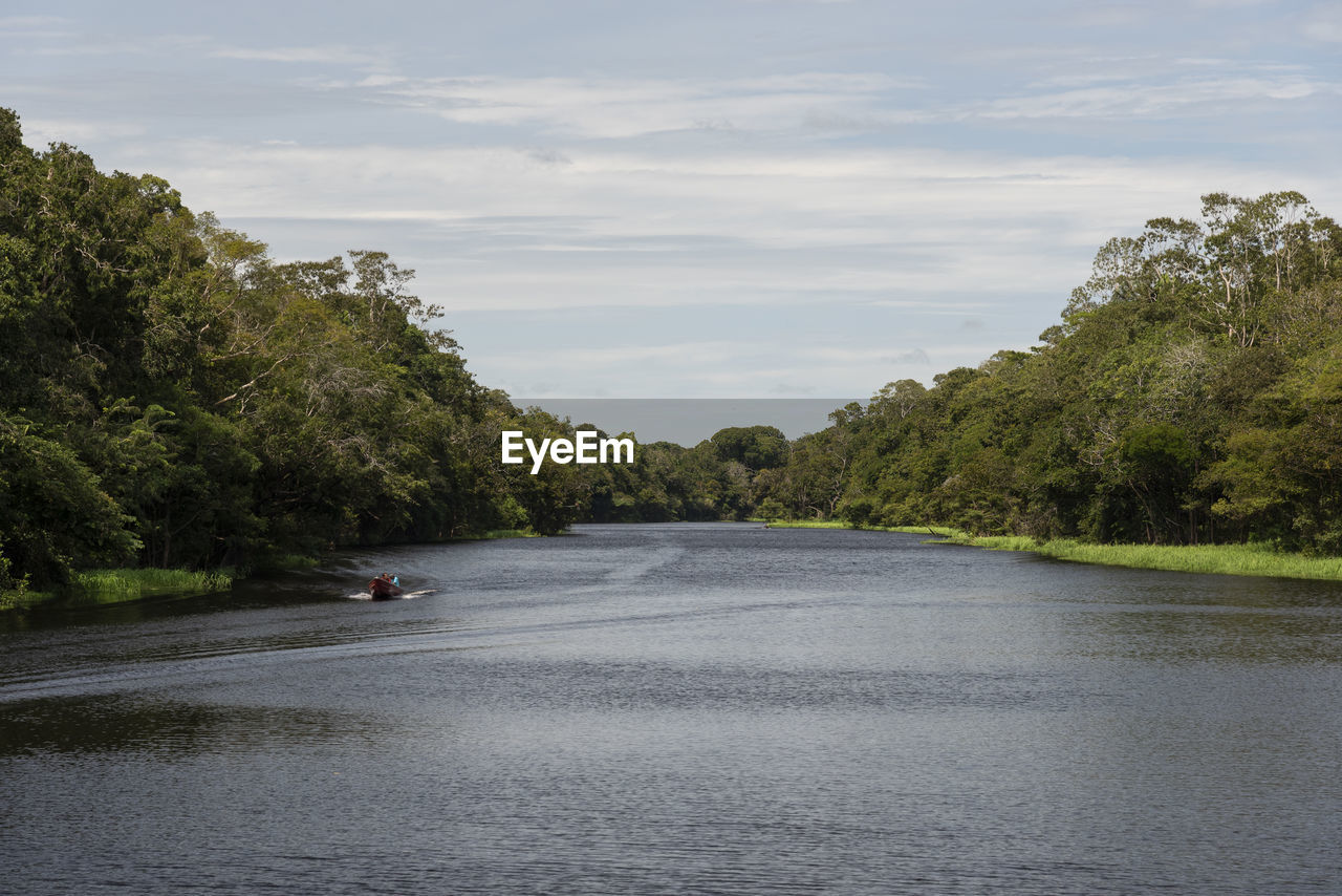 Typical amazon rainforest and river landscape with small boat