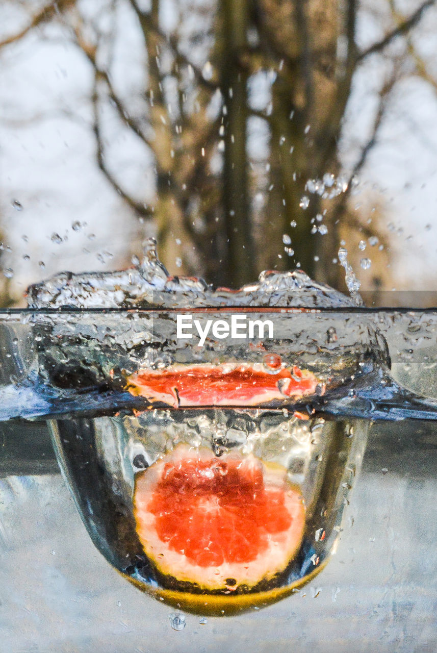 Close-up of fruit in splashing water