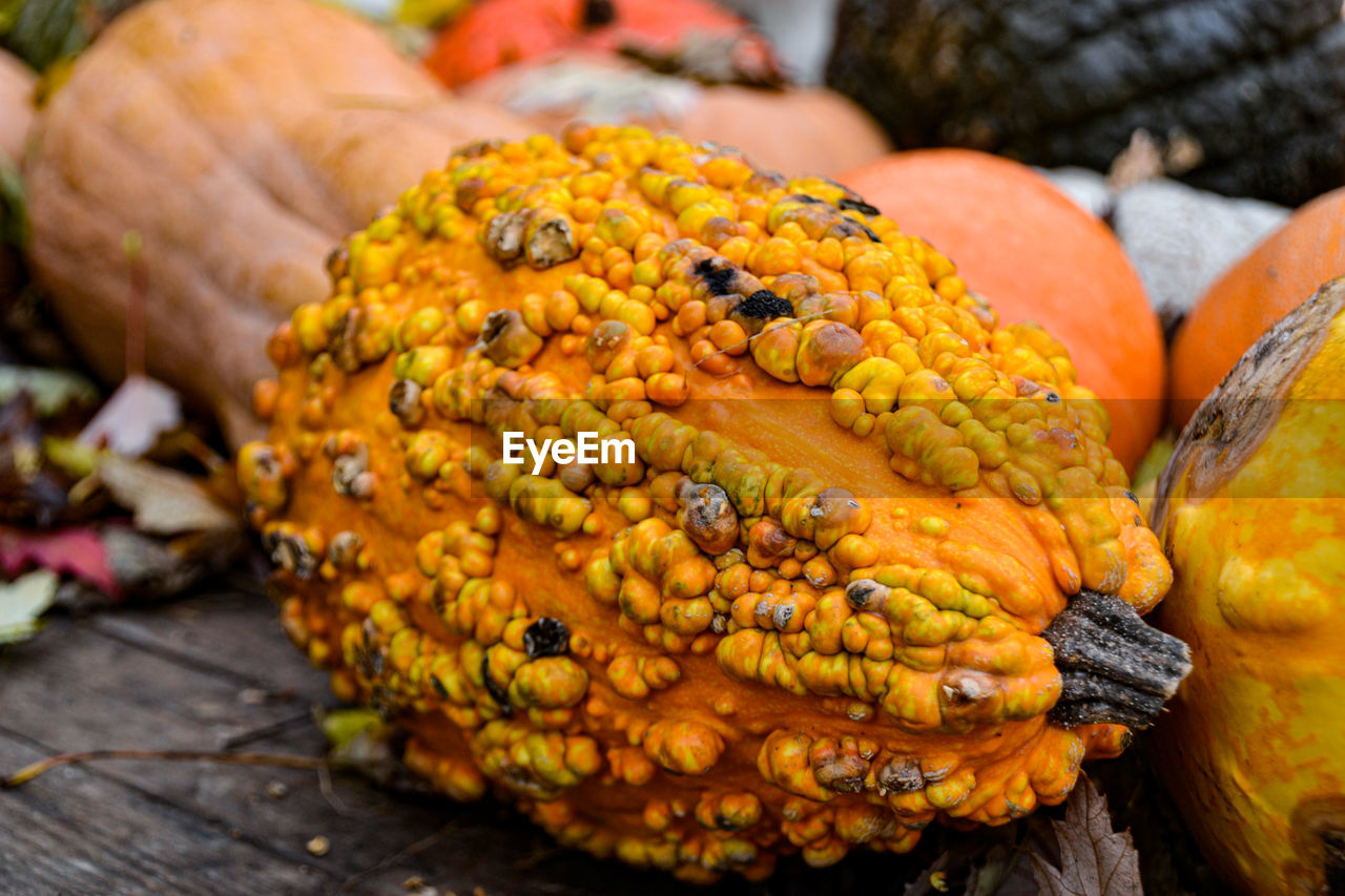 Close-up of pumpkins fruits for sale in market