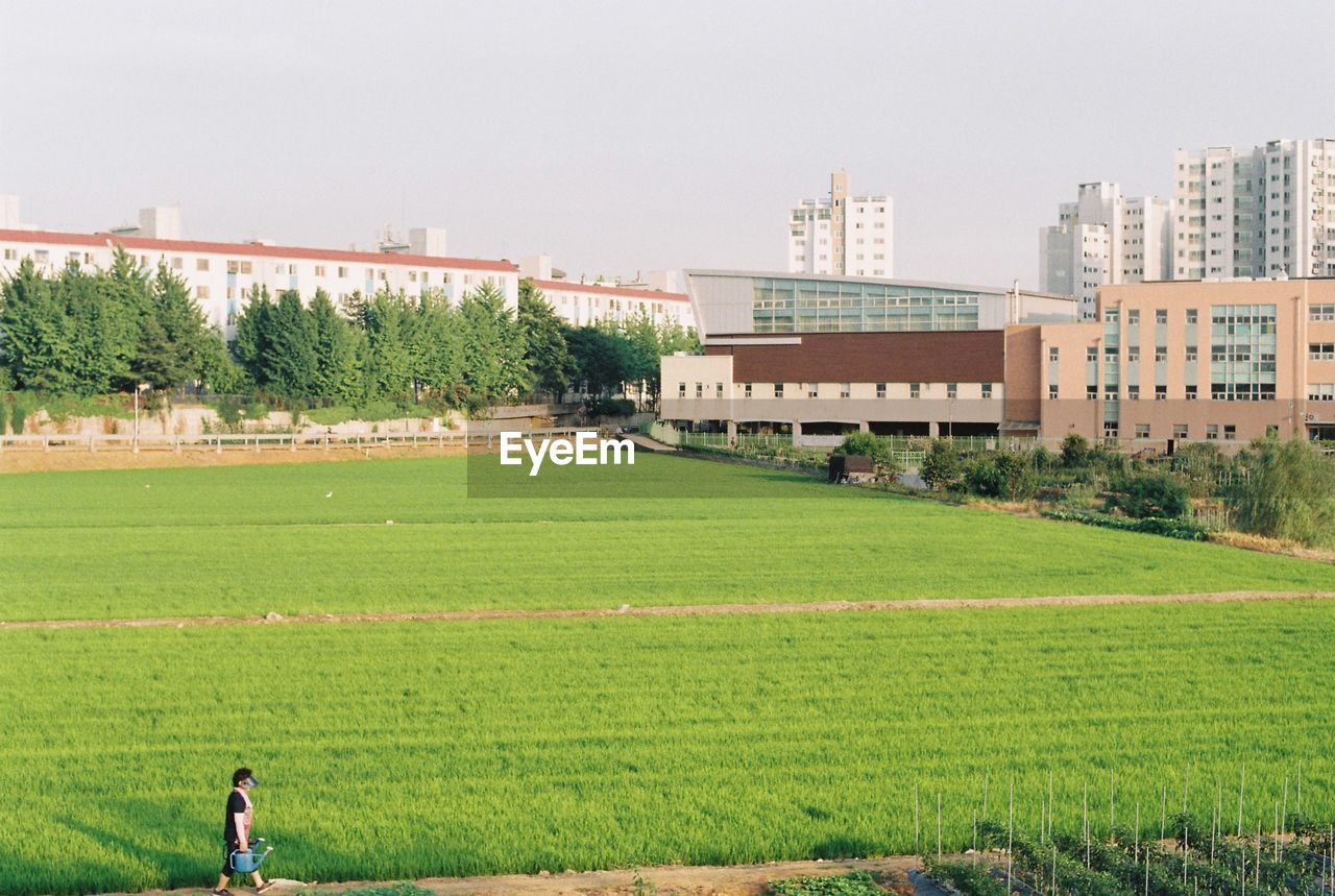 Grassy field and buildings against clear sky