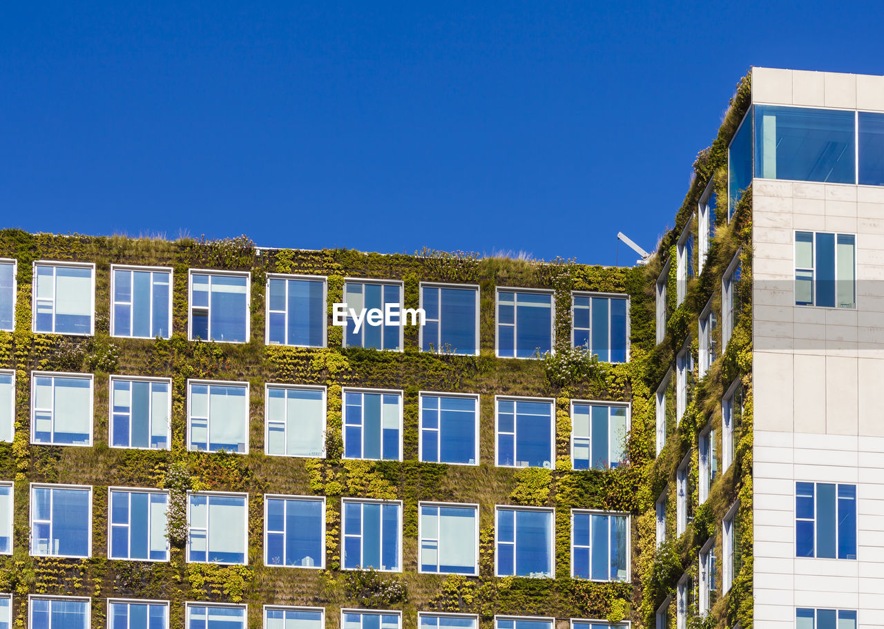 Netherlands, amsterdam, office building with acade greenery