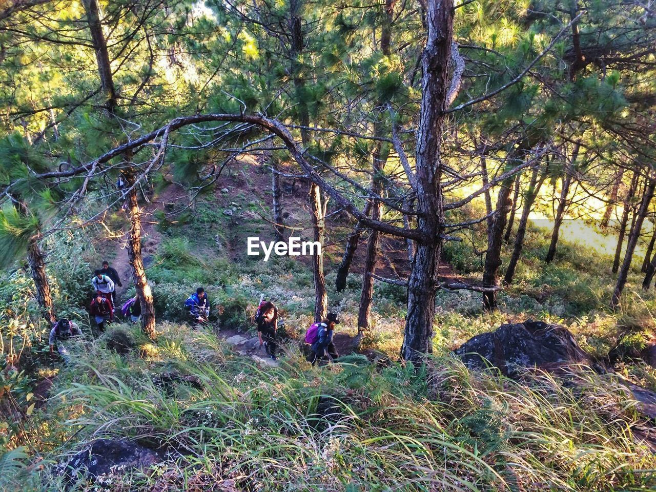 GROUP OF PEOPLE IN THE FOREST
