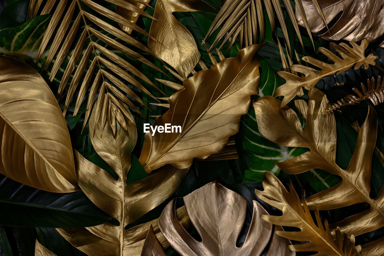 Creative nature background. gold and green tropical monstera and palm leaves. minimal summer 