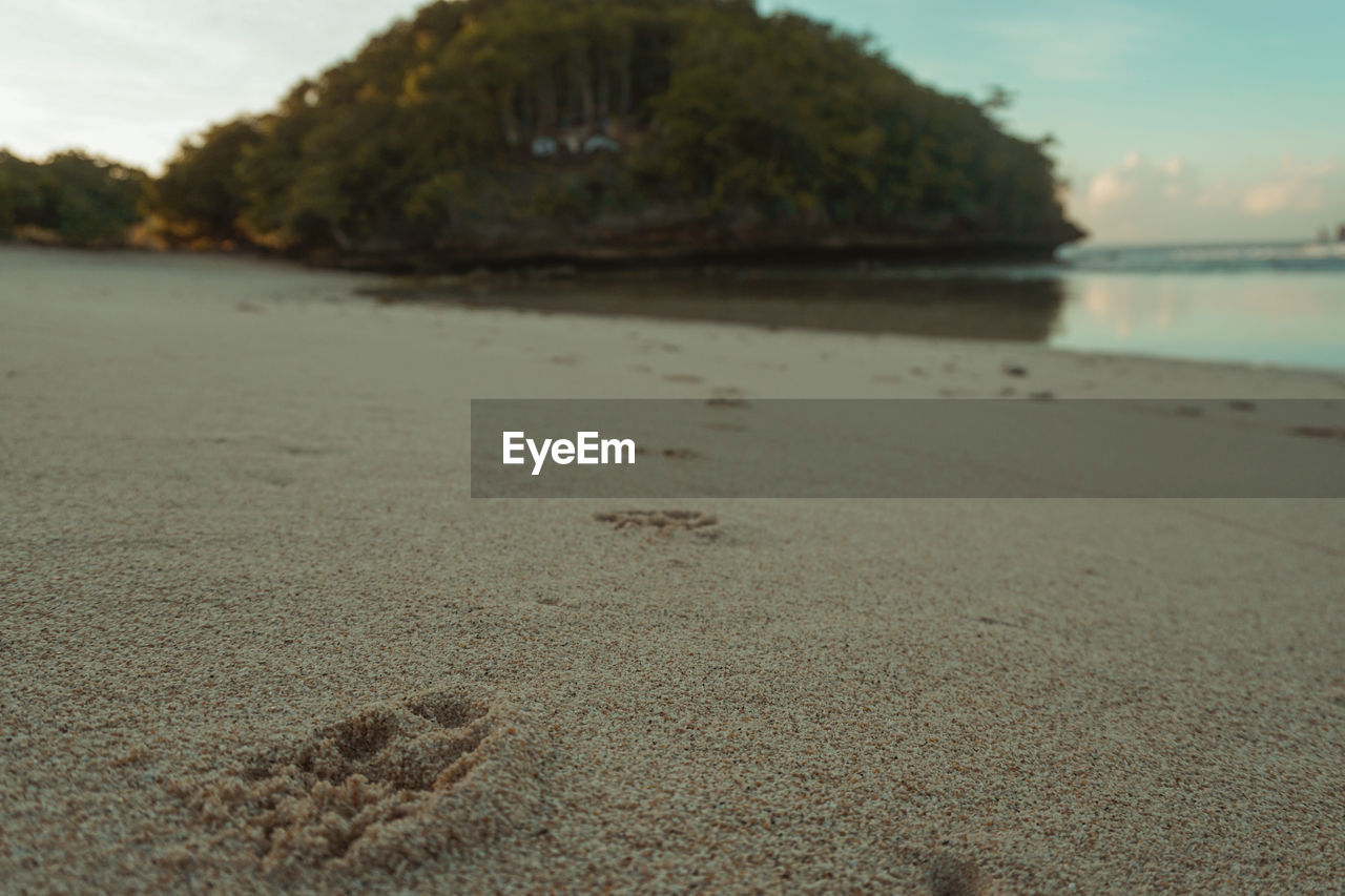 SURFACE LEVEL OF BEACH