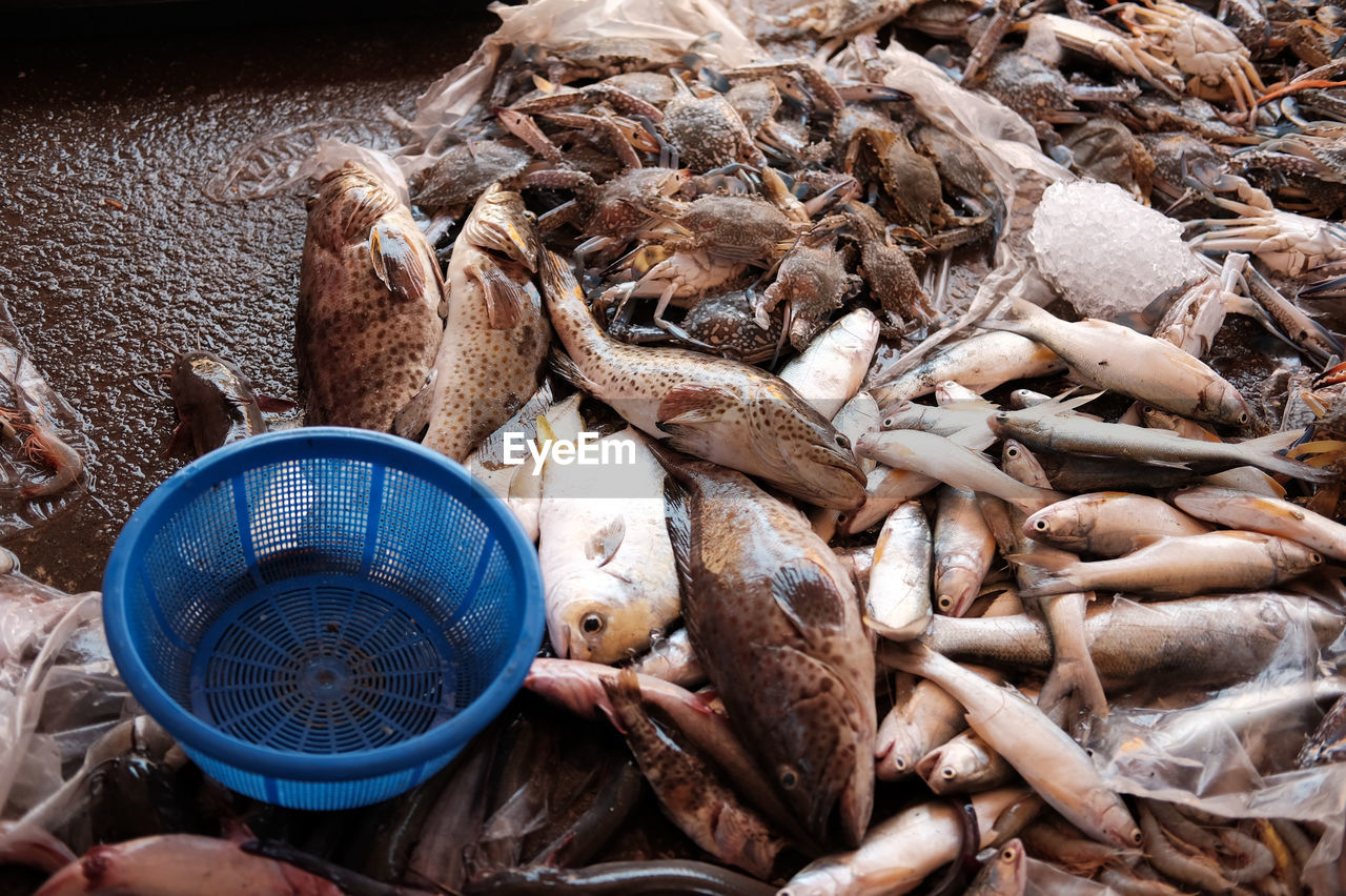 High angle view of fishes for sale at market