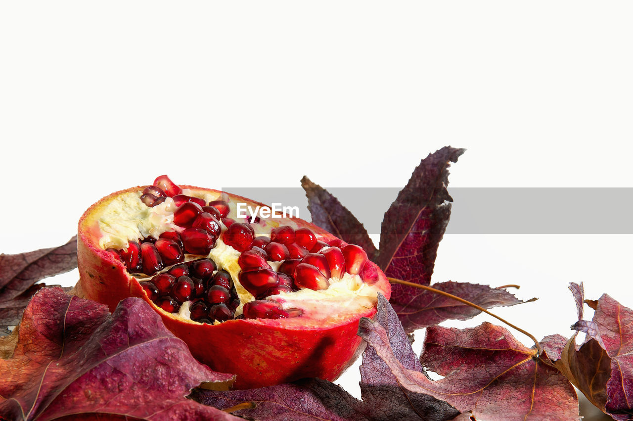 CLOSE-UP OF FRUITS WITH STRAWBERRIES