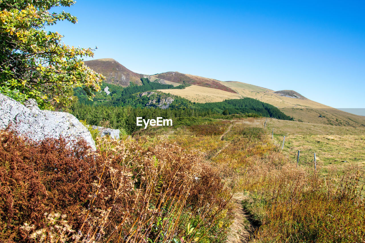 Scenic view of landscape against clear blue sky