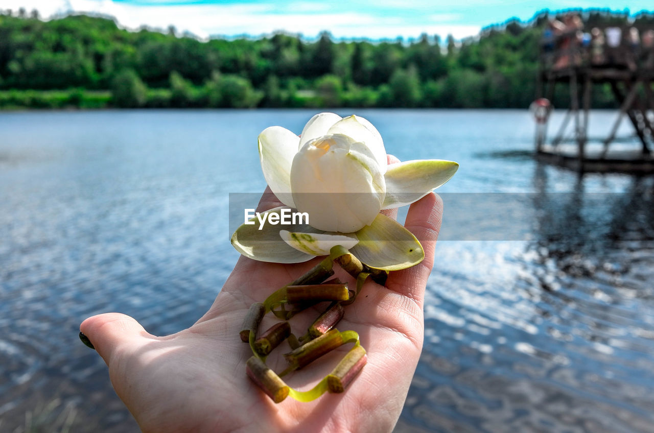 CLOSE-UP OF HAND HOLDING FLOWERS