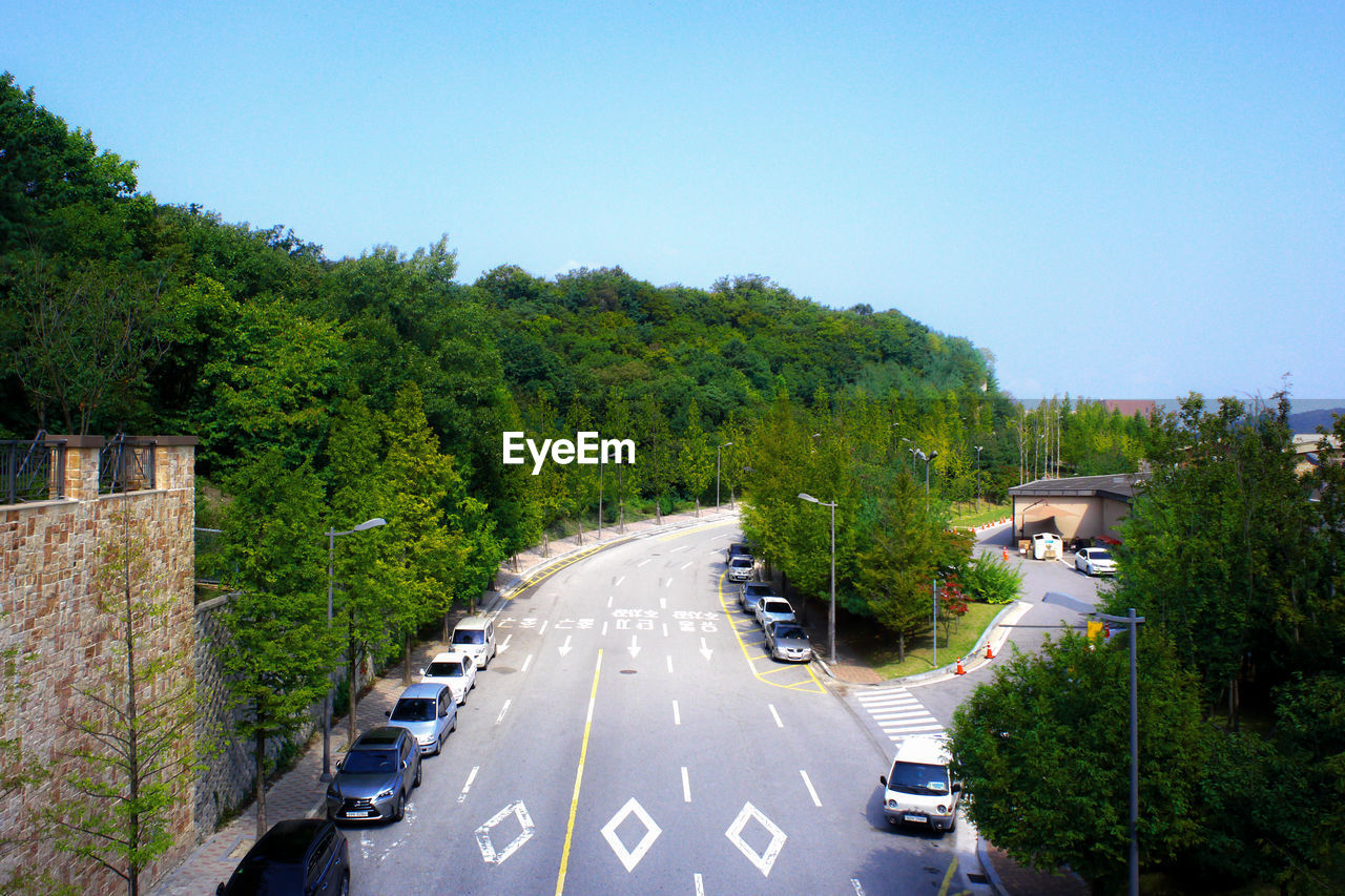 CARS ON ROAD AGAINST TREES